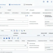 ERP Information 3/2025, News VlexPlus: ChatERP