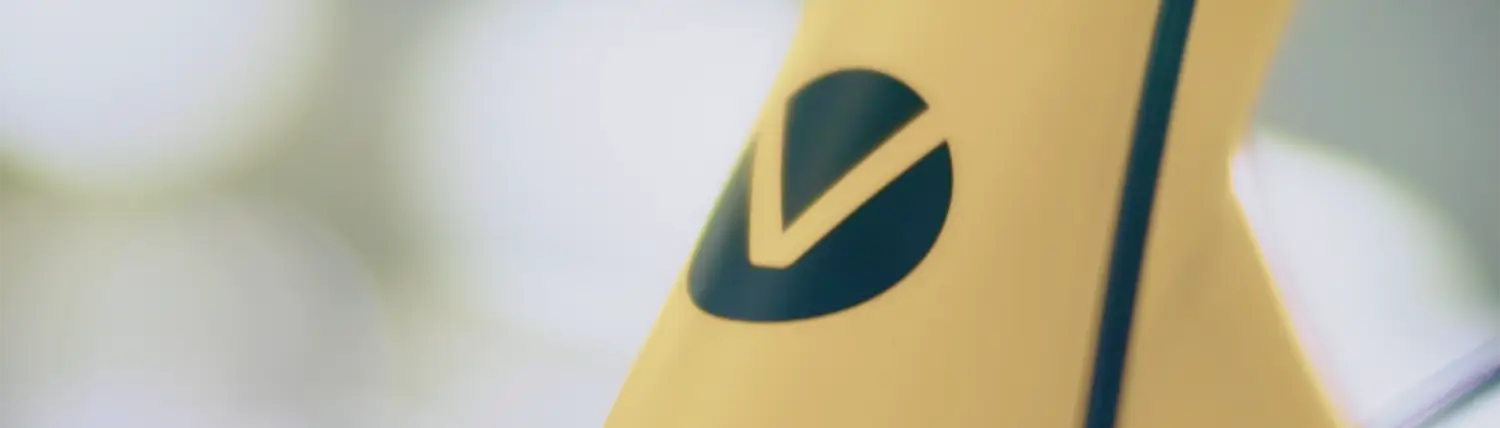 Projekt-Highlights 2025: VELO DE VILLE Mit dem Rückenwind der Digitalisierung