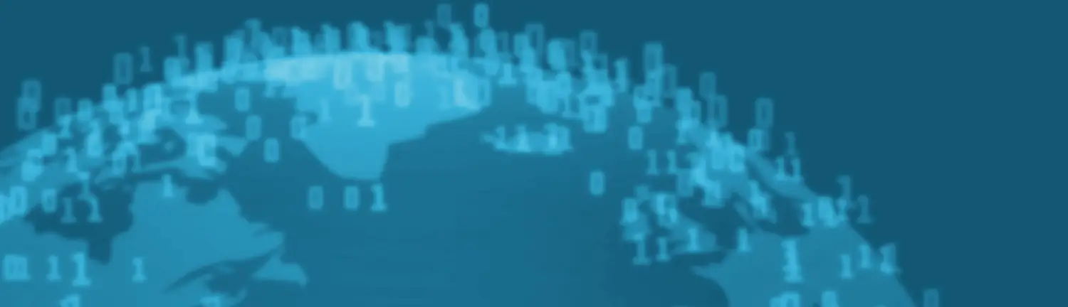 ERP Information 1/2026, Stefanie Deißler, Globale ERP-Programme, Teil 1